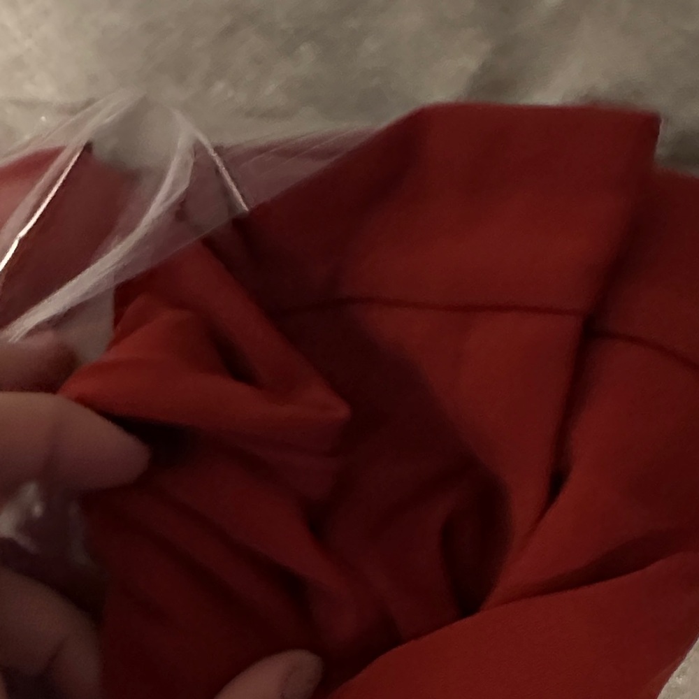 Theory Red Ankle Pants 10